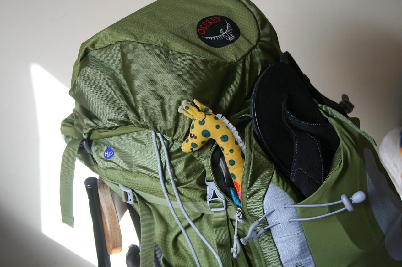 Survival Backpack